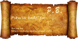 Puhola Beáta névjegykártya